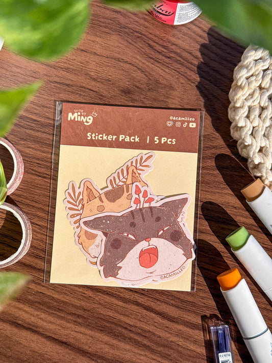 Cat Heads Sticker Sheet | 5 PCS