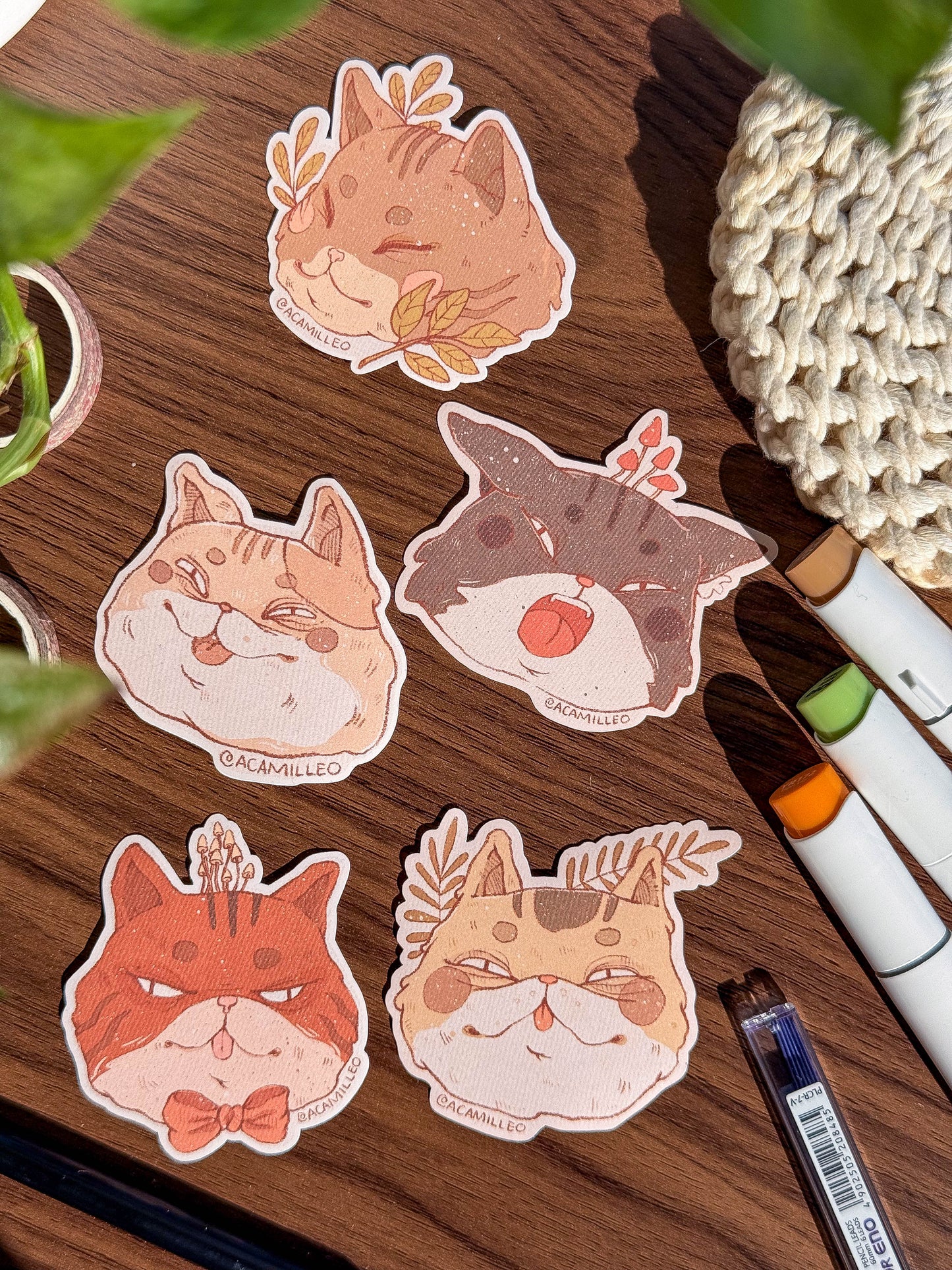 Cat Heads Sticker Sheet | 5 PCS